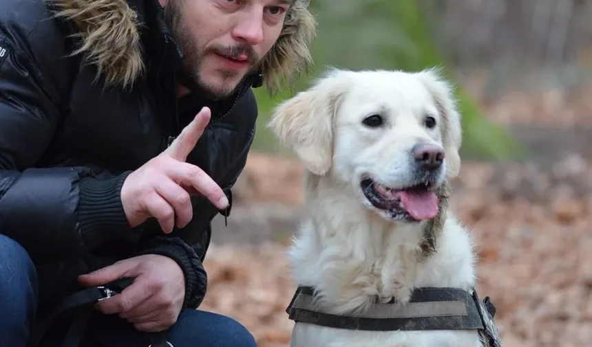 Infarto em Cães: Sintomas, Causas e O Que Fazer